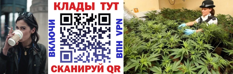 МЕФ Заволжск